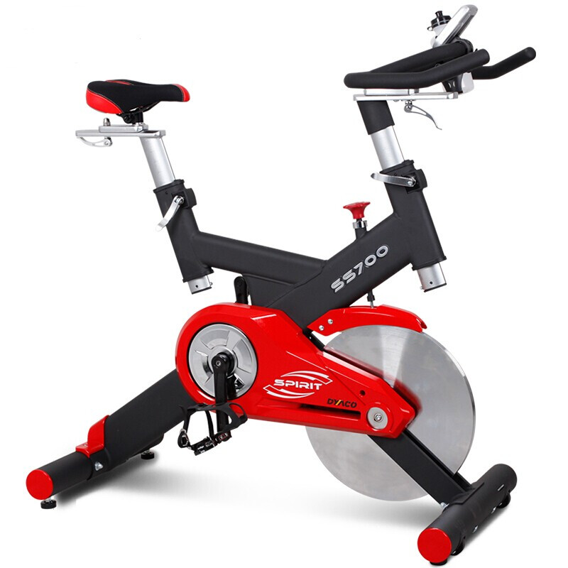 岱宇（DYACO）香蕉视频破解版下载SS700进口静音家用款香蕉视频破解版下载骑行车自行车室内健身器 送货安装 SS700