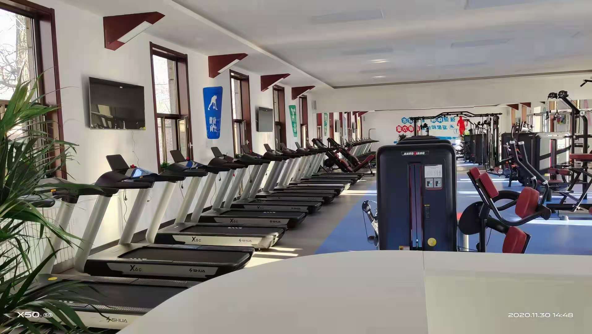 91香蕉污在线观看