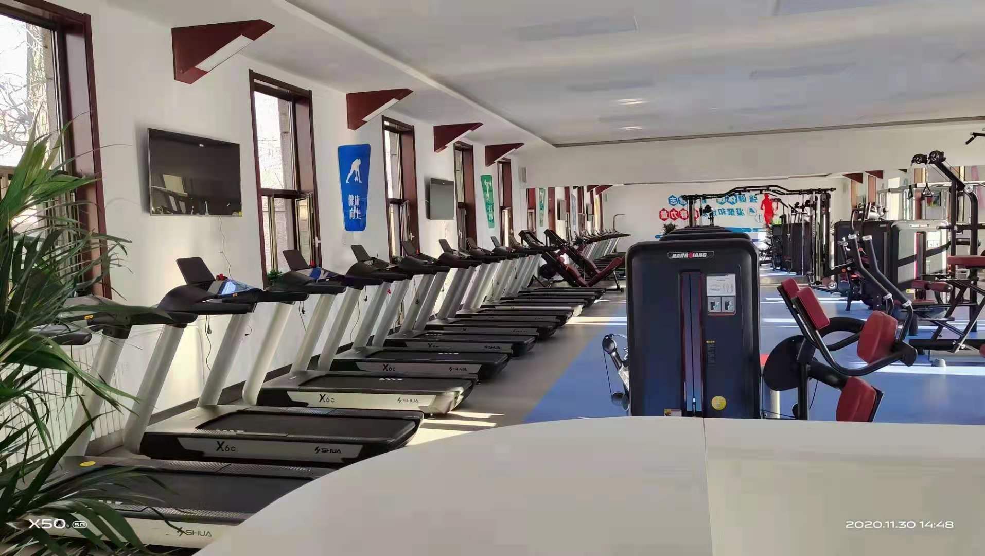 91香蕉污在线观看