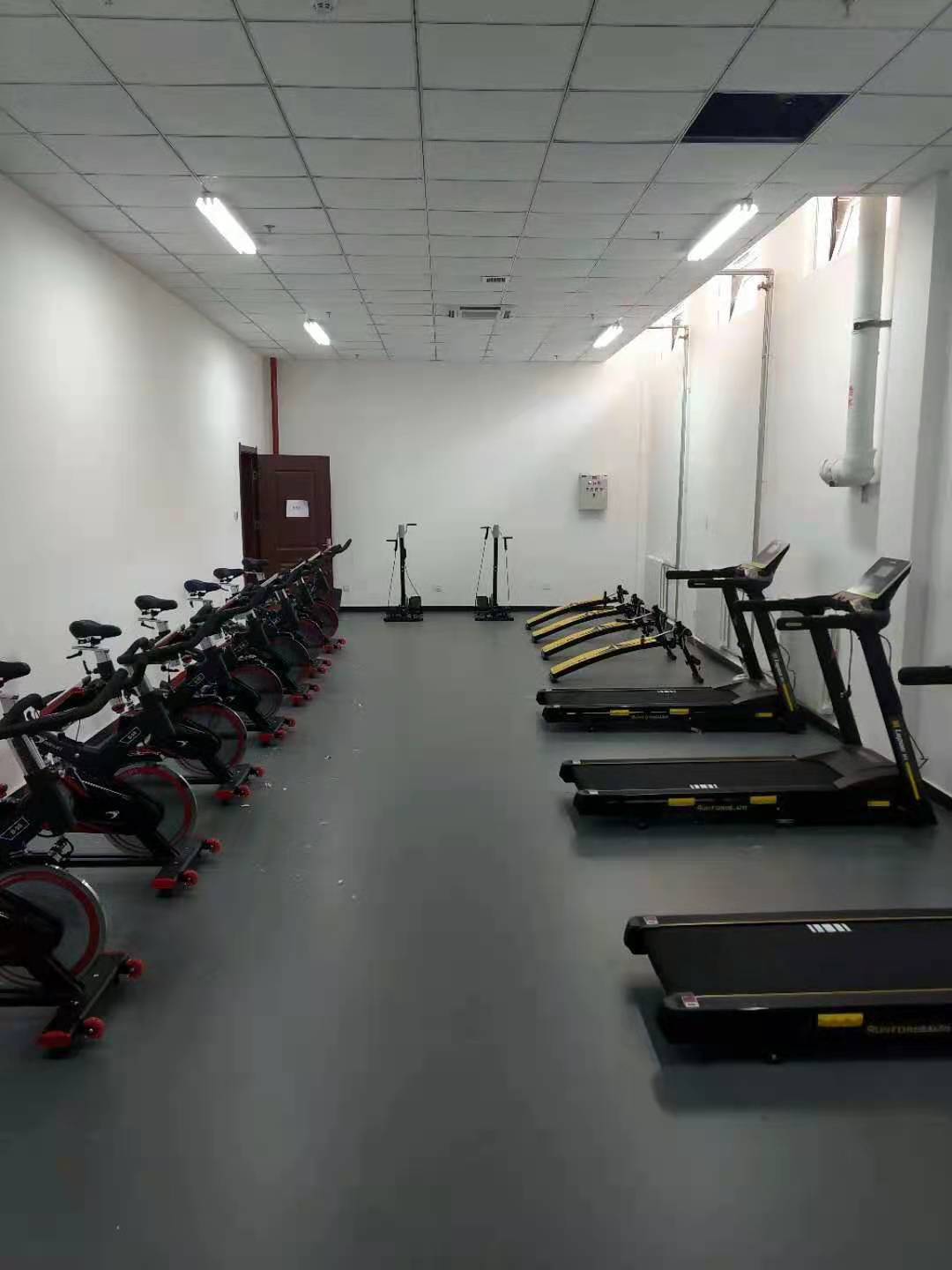 91香蕉污在线观看香蕉视频破解版下载