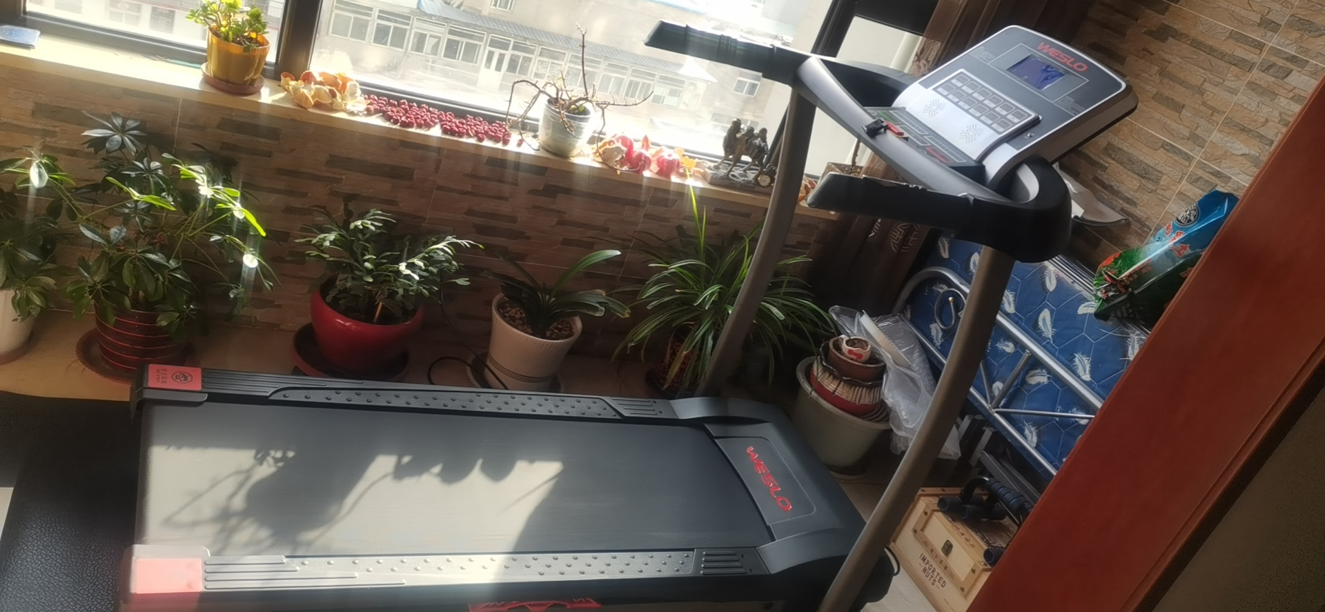 家用91香蕉污在线观看多少钱一台