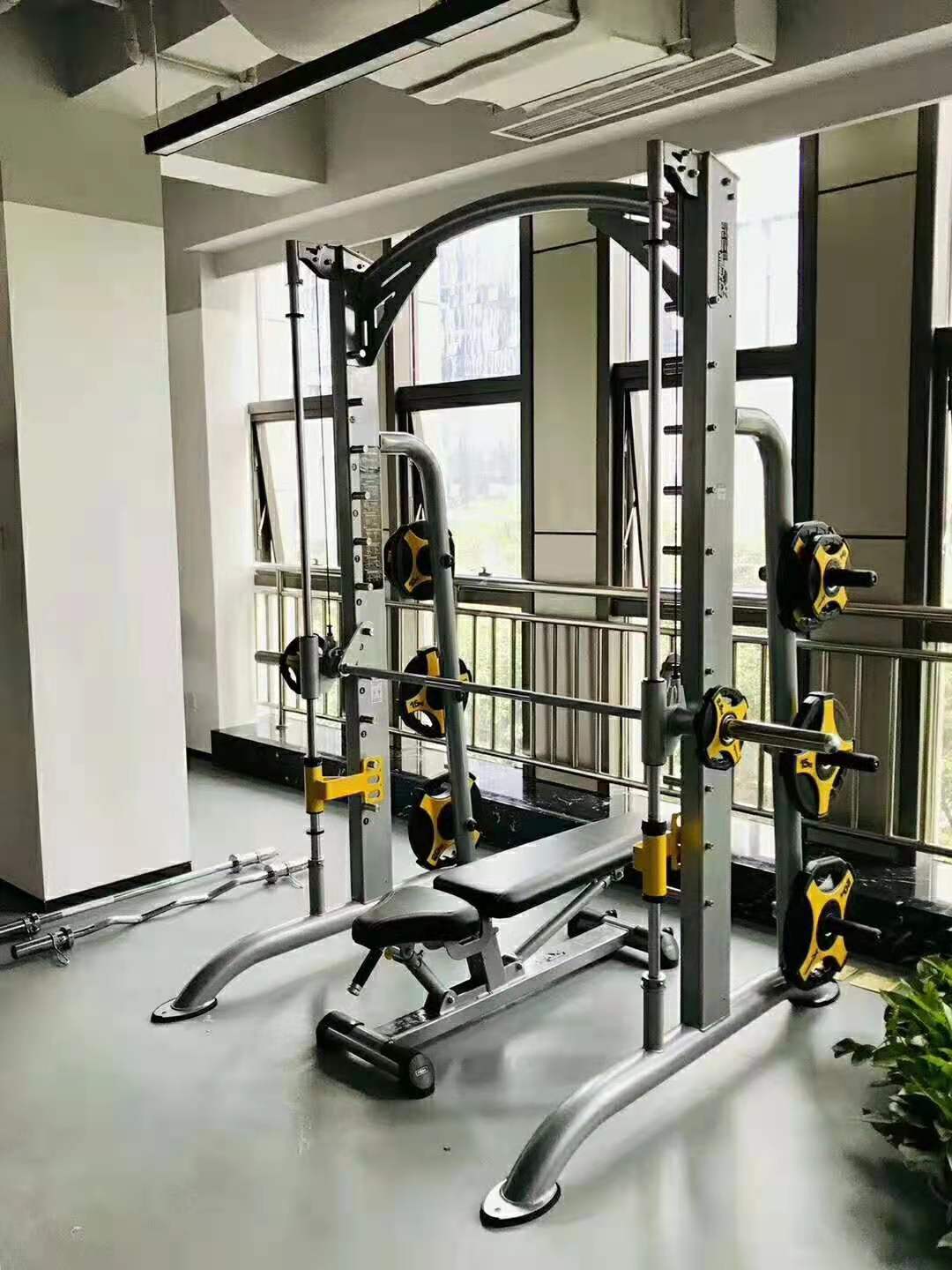 史密斯机 史密斯机