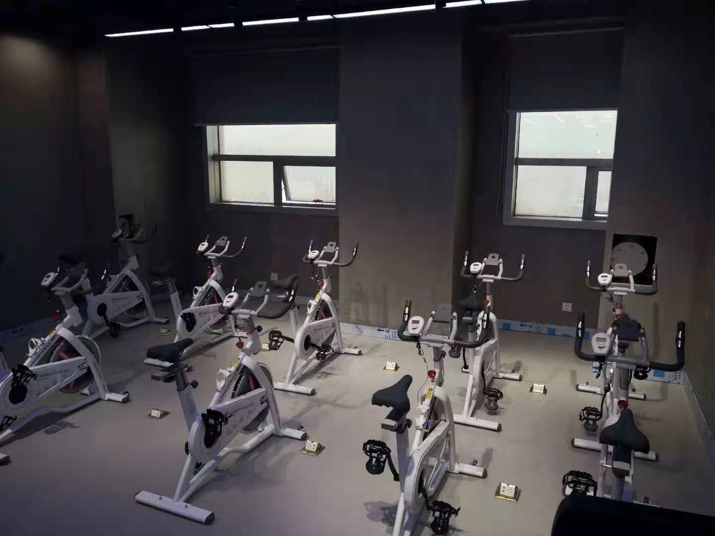 91香蕉污在线观看