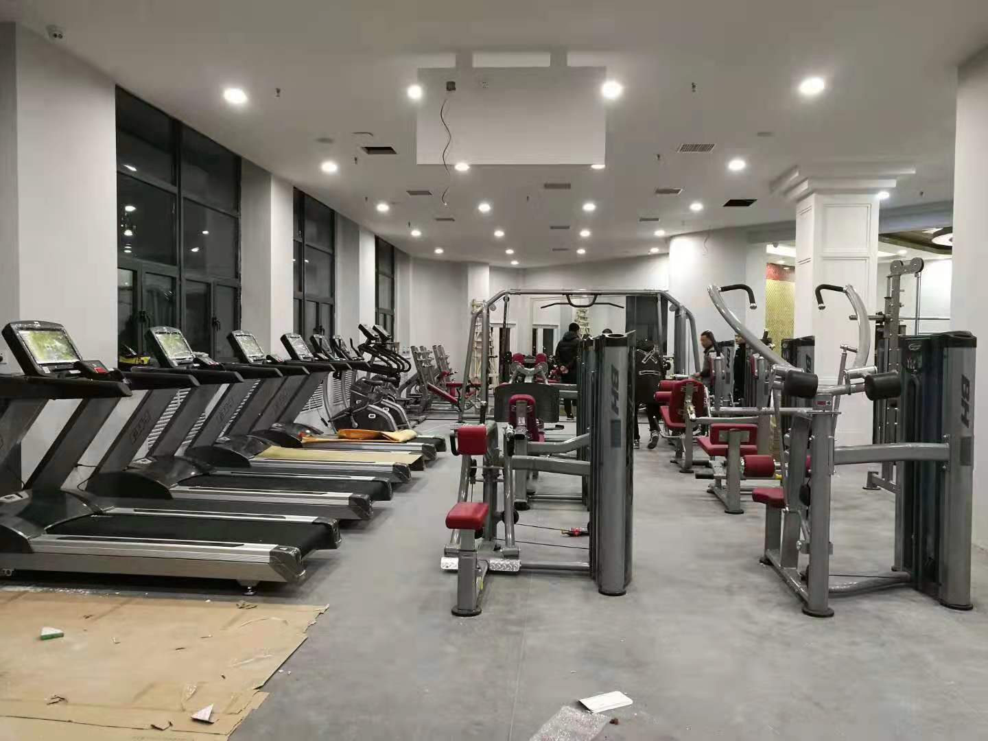 91香蕉污在线观看