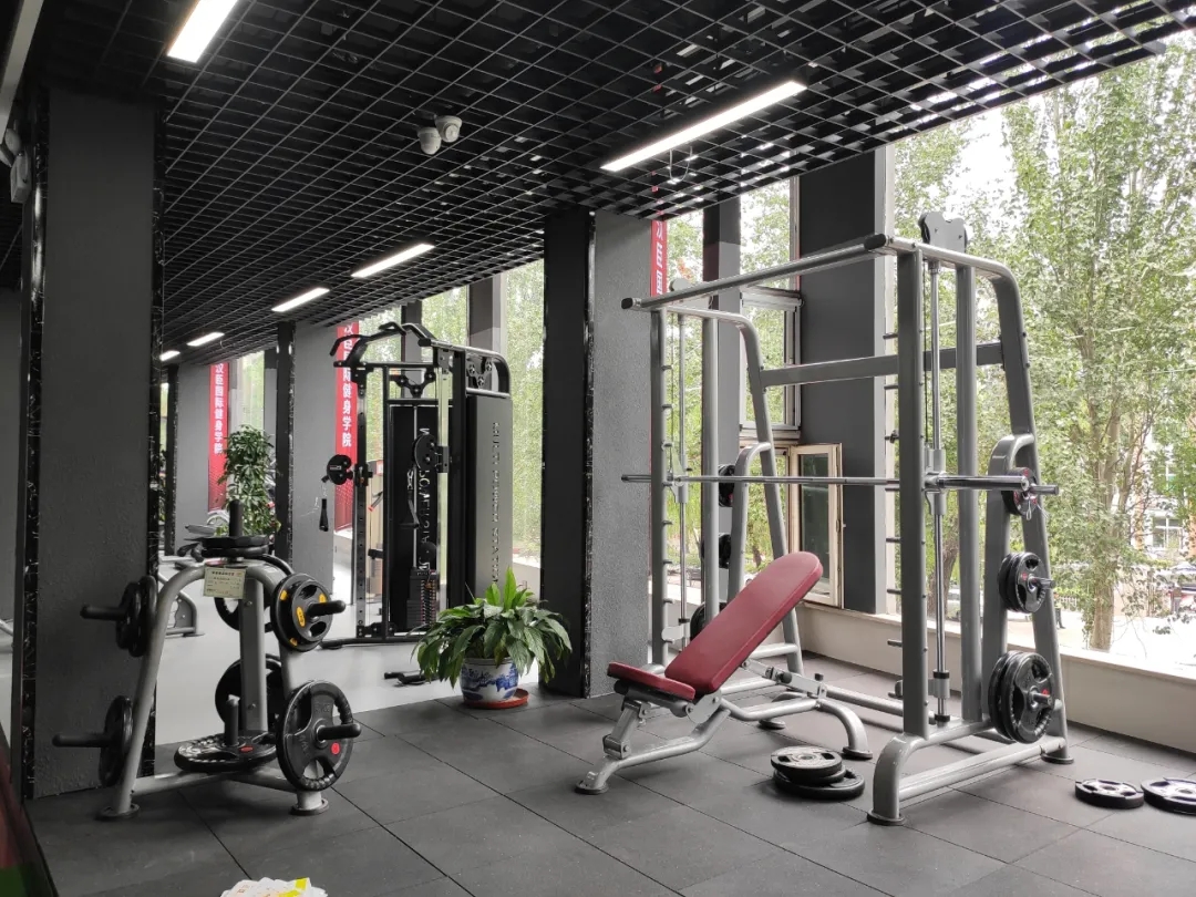 香蕉视频免费看健身器材