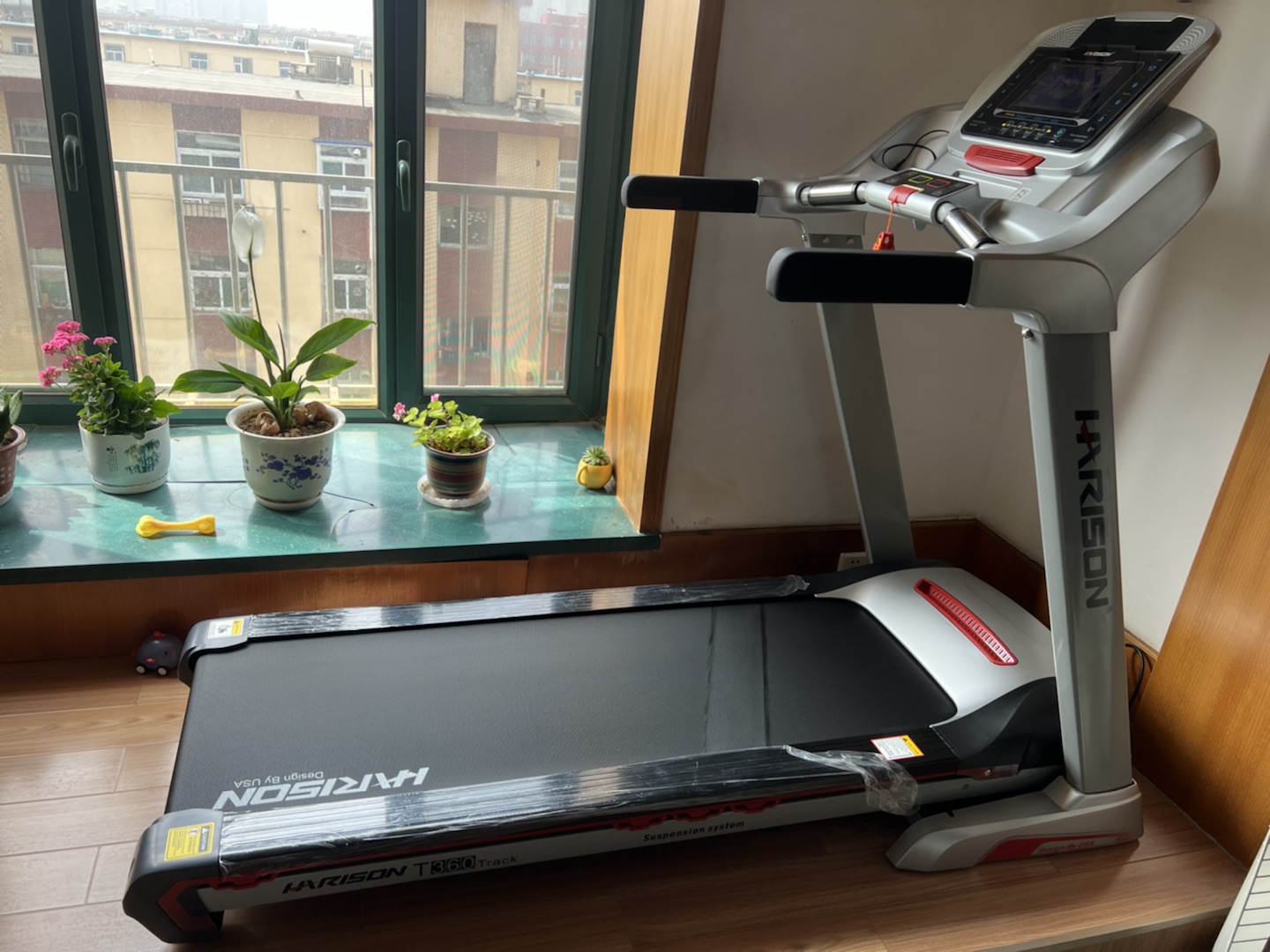 91香蕉污在线观看