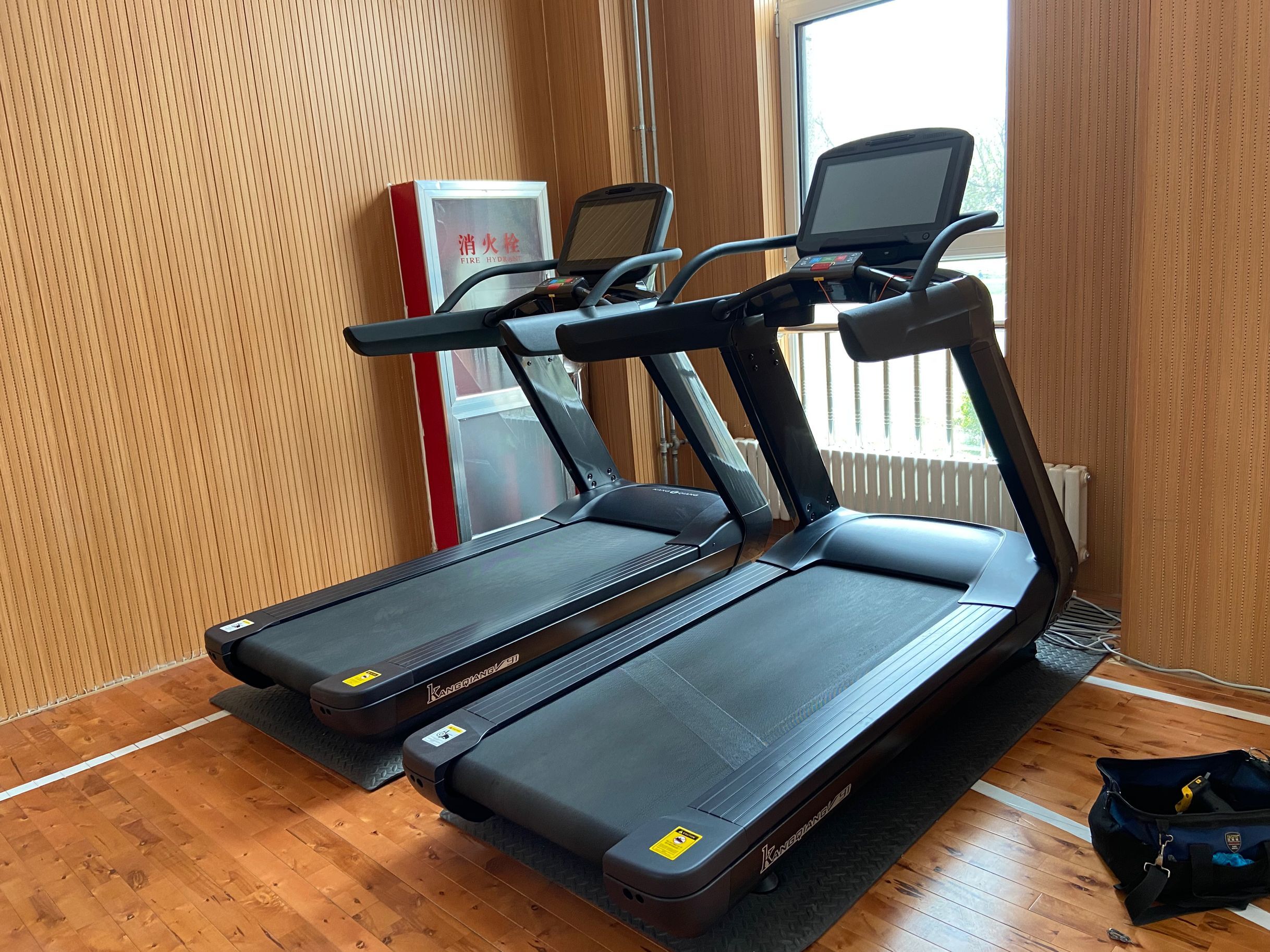 91香蕉污在线观看